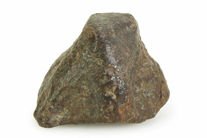 OC Melt Breccia Chondrite Meteorite ( g) - NWA #351002